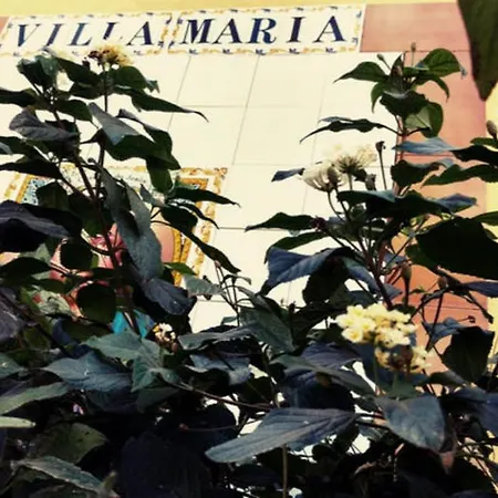 Maria *